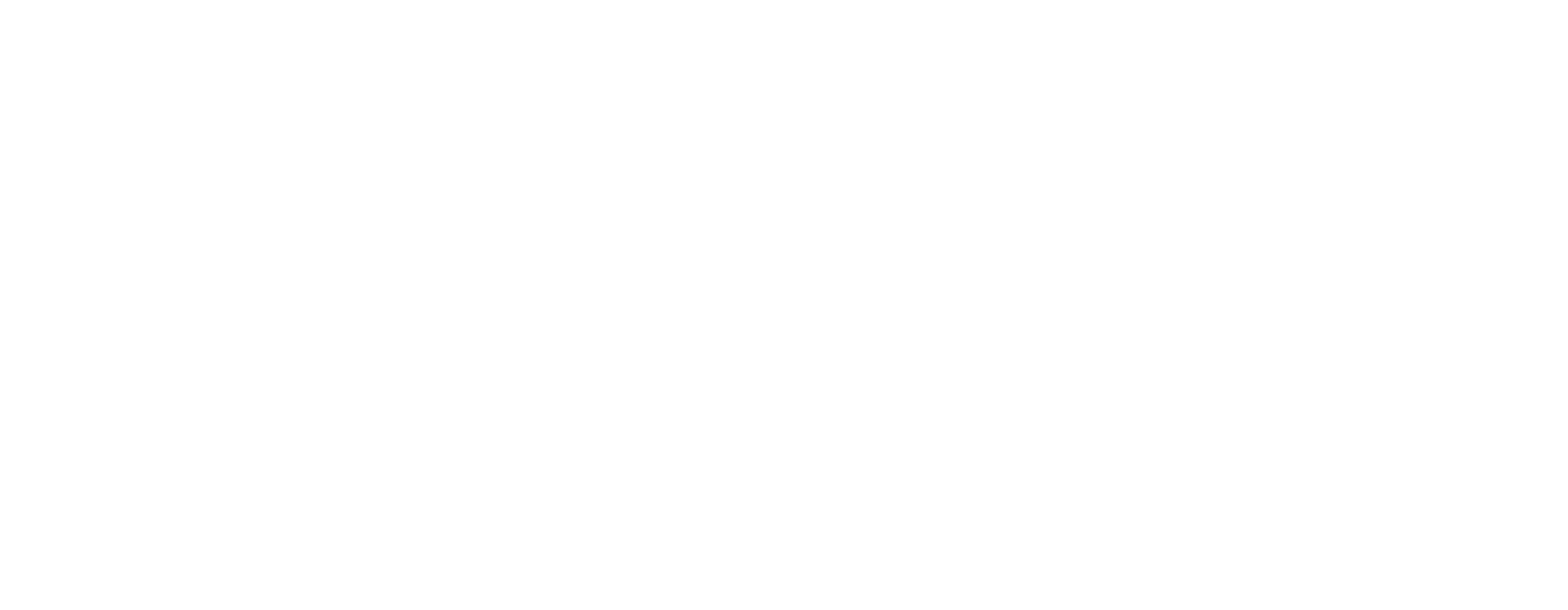 DSPD Logo