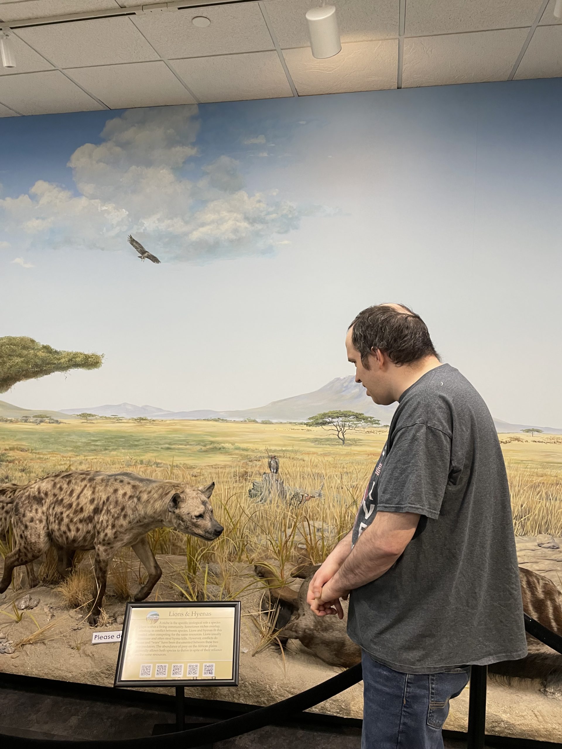 Person-centered planning success story, Kevin looking at animals at a museum
